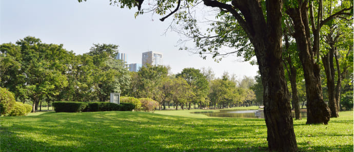 Landscape view of a park