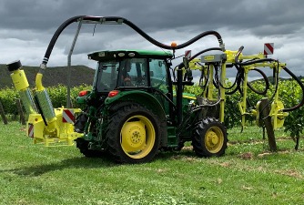 Collard Defoliator heading into the vine