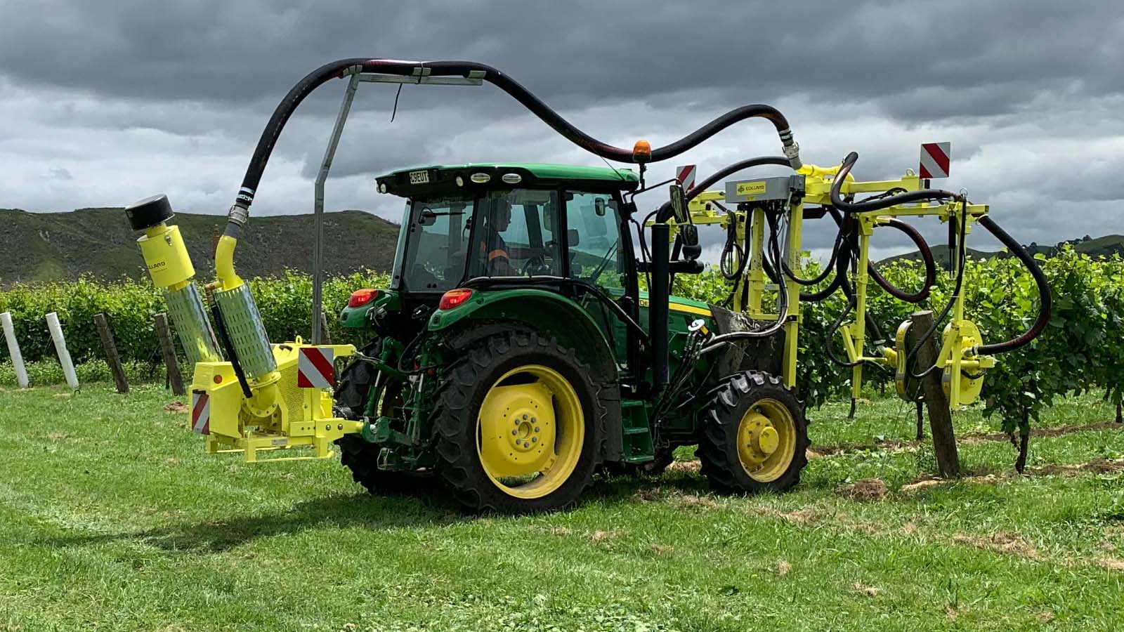 Collard Defoliator heading into the vine