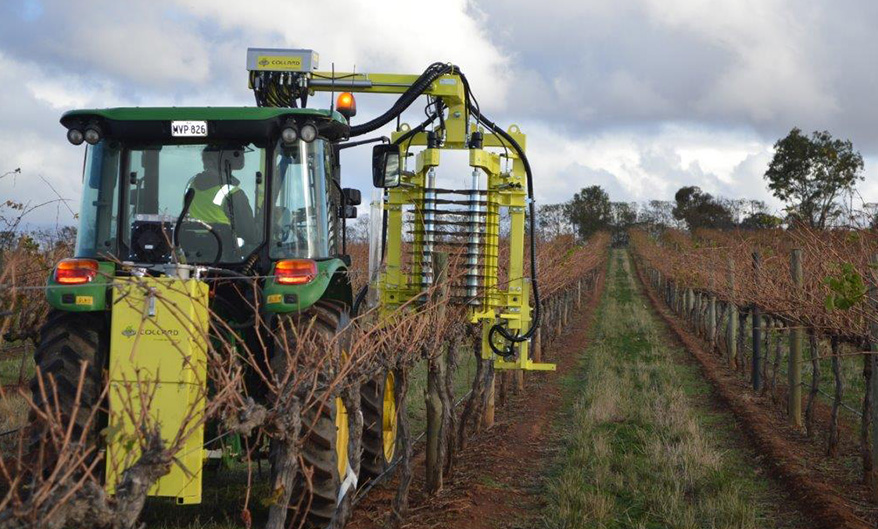 Collard Pre-Pruner pruning in a vineyard