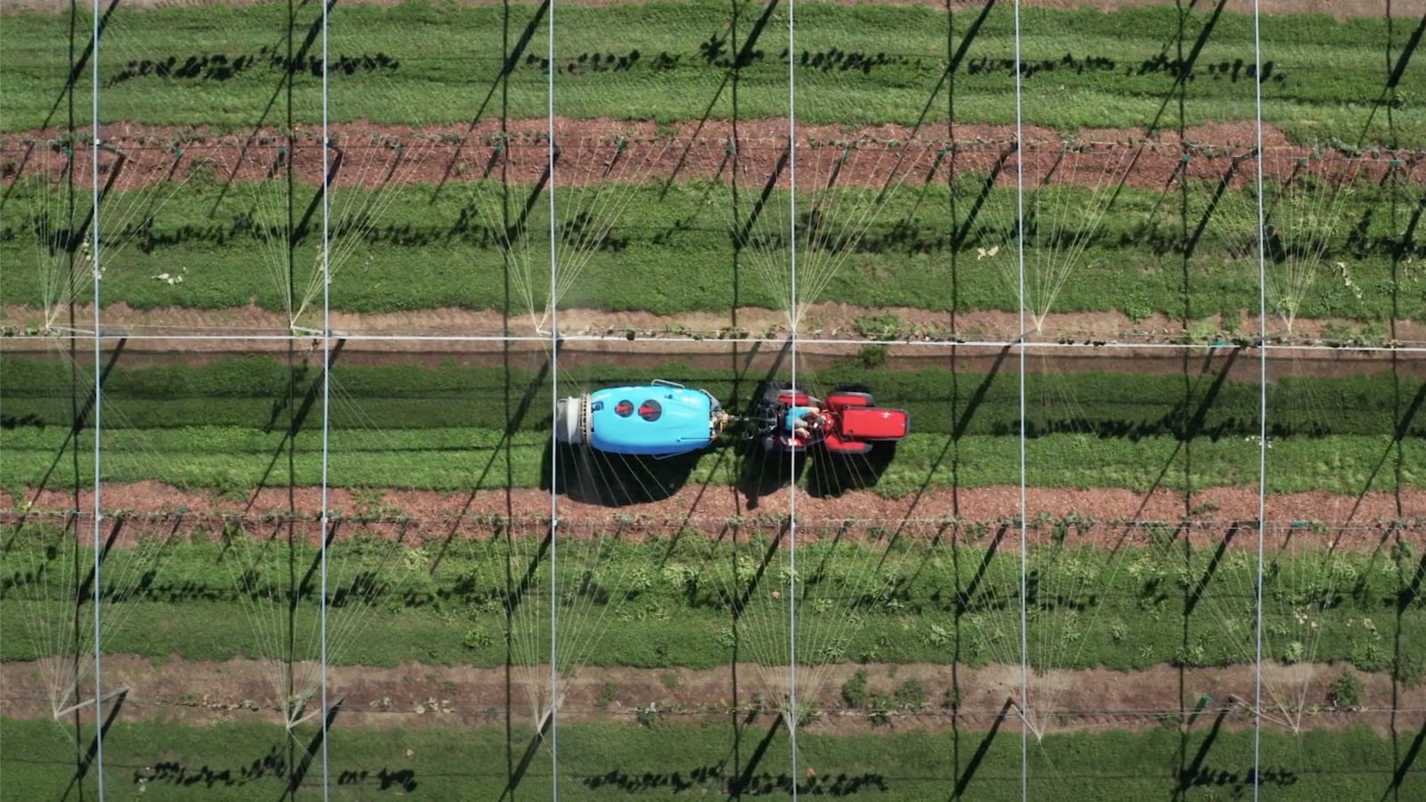 Orchard Sprayer in an orchard - aerial view