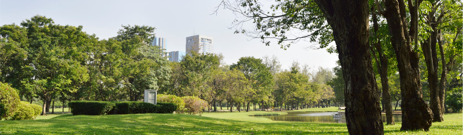 Landscape image of a park with trees and a lake and a cityscape in the distance