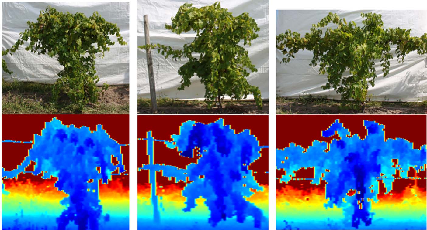 Spray detection