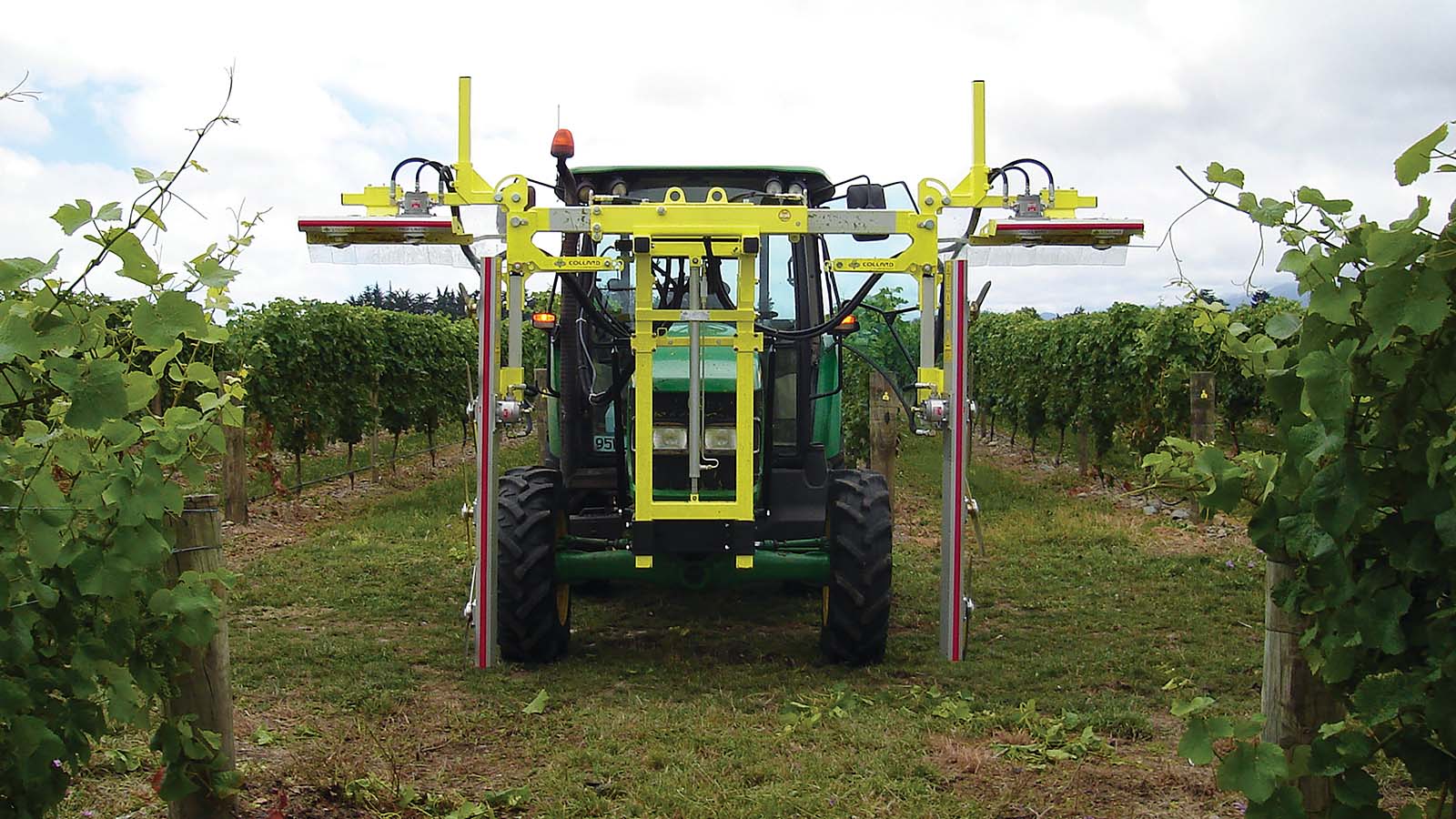 Collard Trimmer mounted to a tractor in a vineyard