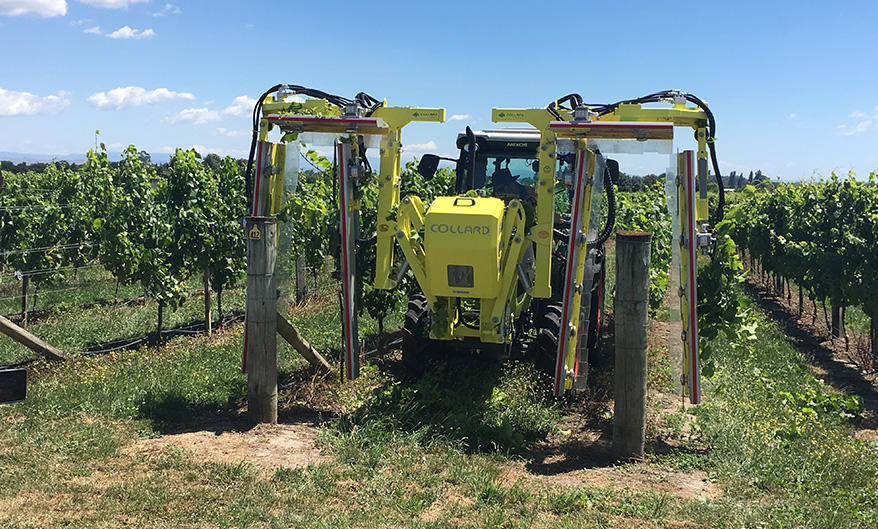 Collard Trimmer on a tractor in a vineyard