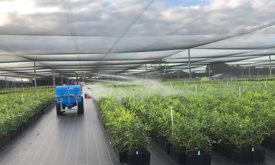 Hort Pack Sprayer spraying a garden nursery