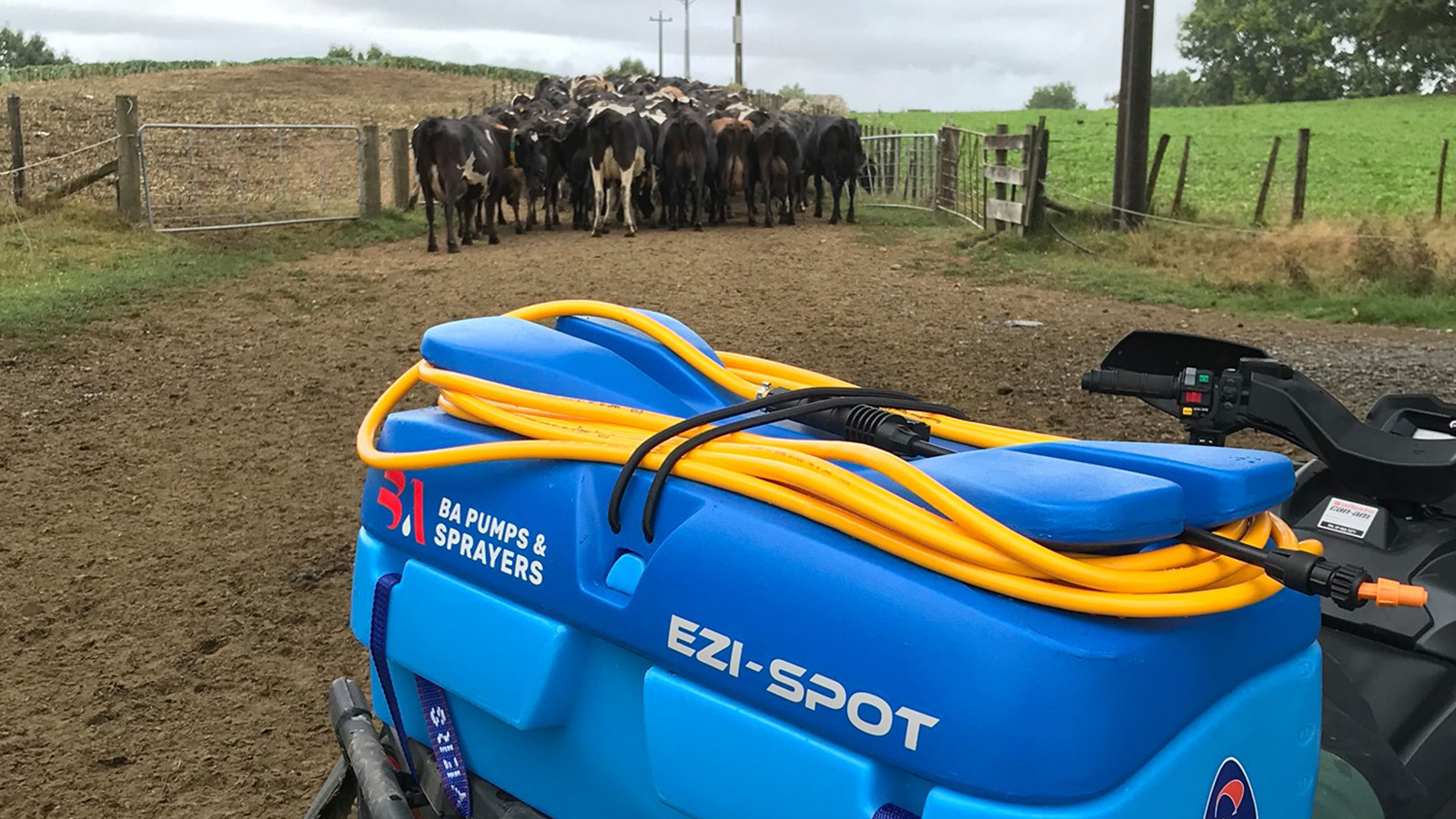 EZI-Spot Sprayer on an ATV near some cows