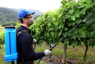 Knapsack spraying
