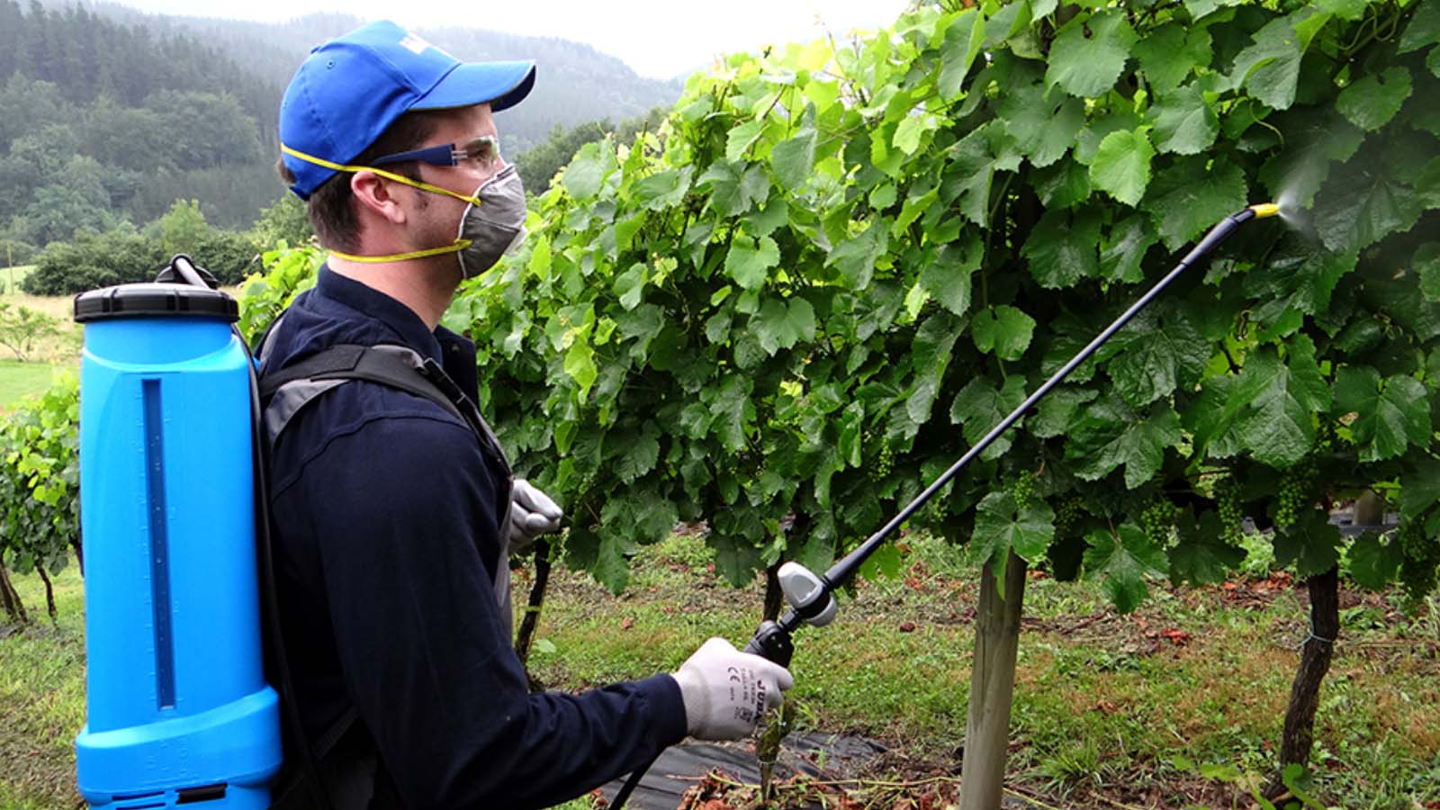 Knapsack spraying