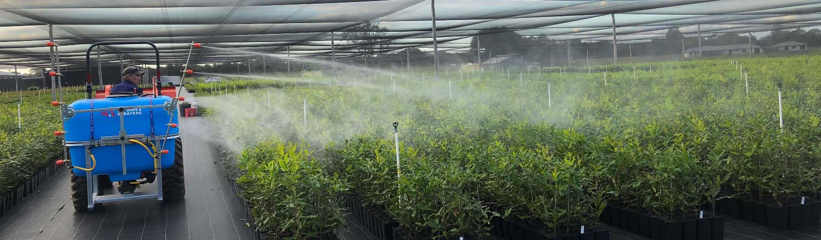 Person spraying in a garden nursery