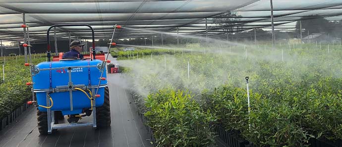Person spraying in a garden nursery