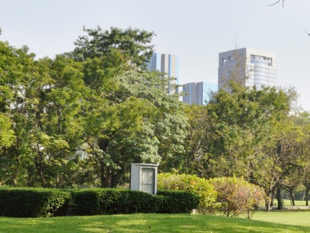 City scape through a park