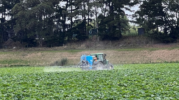 LS Spraying vegetables in a field