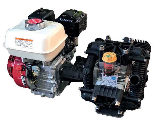 Bertolini POLY2136 Diaphragm Pump: MUBP2136PP-NF