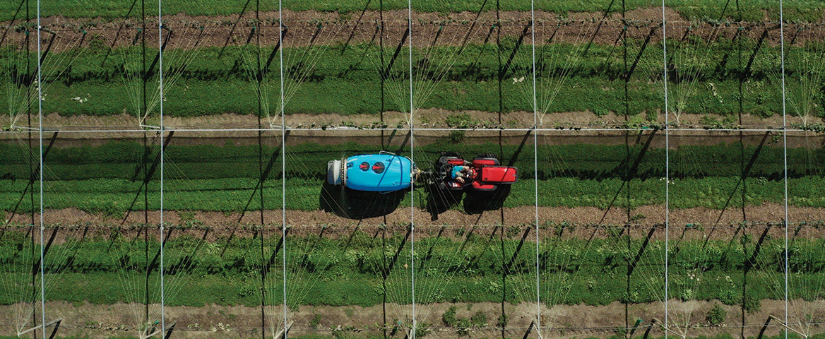 Aerial shot of Boyds Orchard Sprayer spraying kiwi