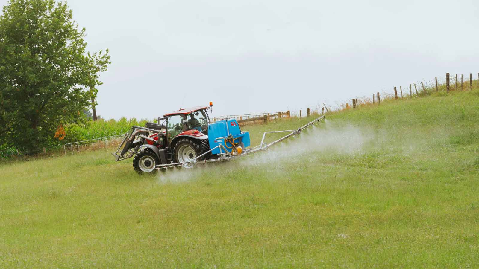 LM spraying in a field