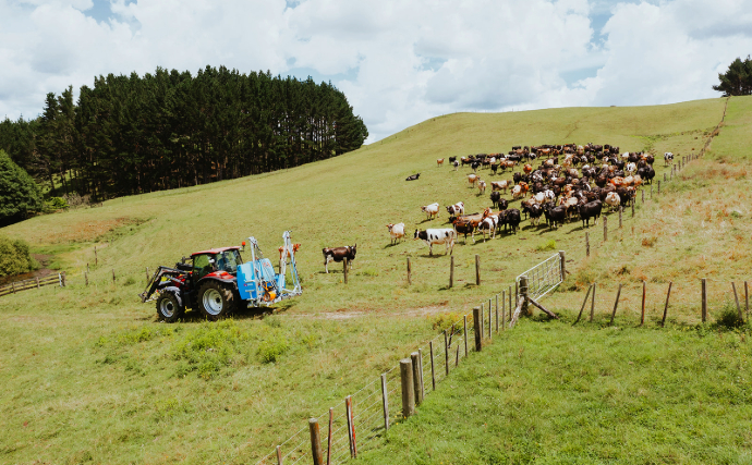 LM Series in a paddock with cows
